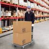 Bosonshop Folding Platform Cart Heavy Duty Hand Truck Moving Push Flatbed Dolly Cart for Warehouse Home Office;  660 lbs Weight Capacity